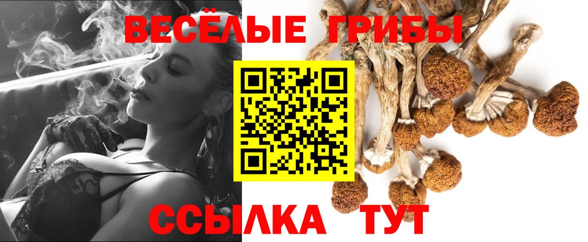 Сатка  Галлюциногенные грибы Cubensis  Вход с VPN 